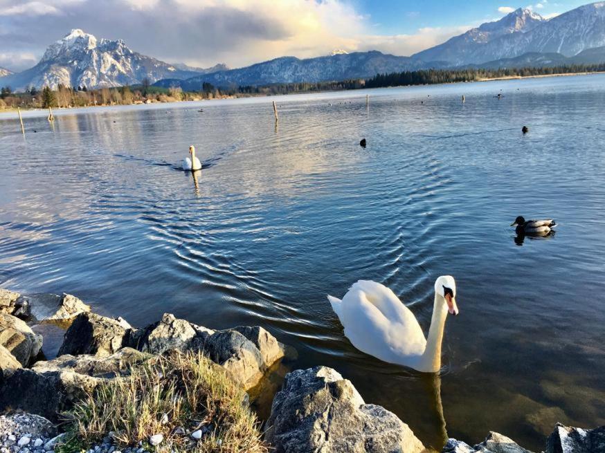 Füssen Hotel Fischer Am See מראה חיצוני תמונה